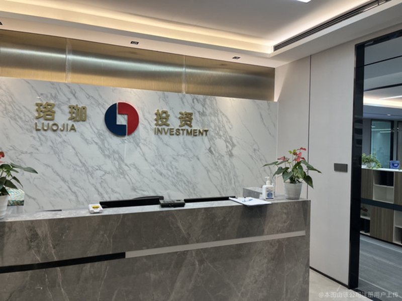 信息咨询公司:上海领航的信息之舟